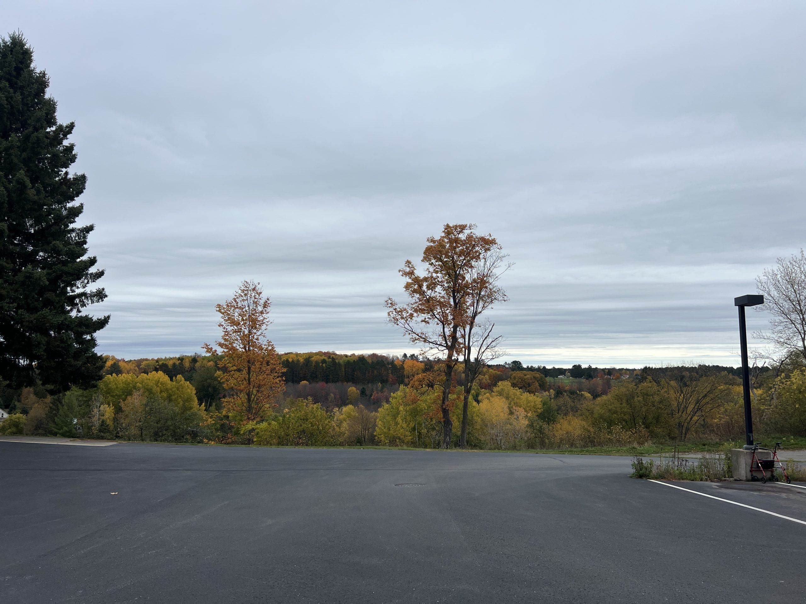 View across parking lot from front of building look at view of fall trees